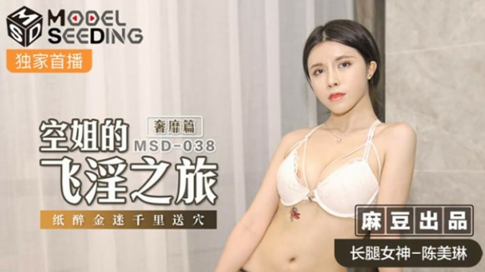 麻豆空姐陈美琳飞淫奢靡篇：纸醉金迷千里送穴 主动献上嫩穴任你玩！ 海报