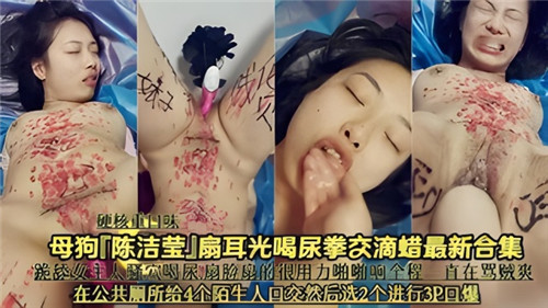 母狗陈洁莹扇耳光喝尿拳交滴蜡最新合集 海报
