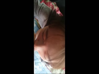 高颜值清纯脸女孩经男友多年调教终变小淫娃_口活精细_拍下屁股就知道撅起来等操_1.. 海报