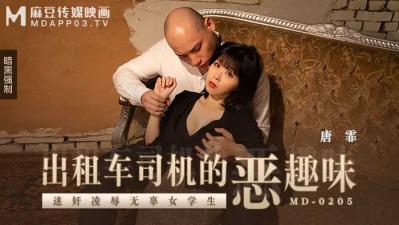 【麻豆传媒】MD0205出租车司机的恶趣味唐霏. 海报