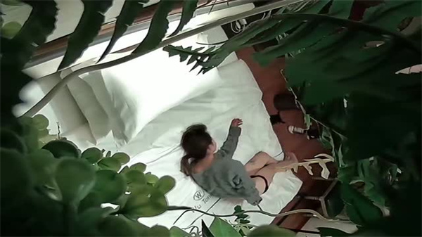 酒店情趣绿植房偷拍绝密流出，娇喘连连香艳刺激 海报